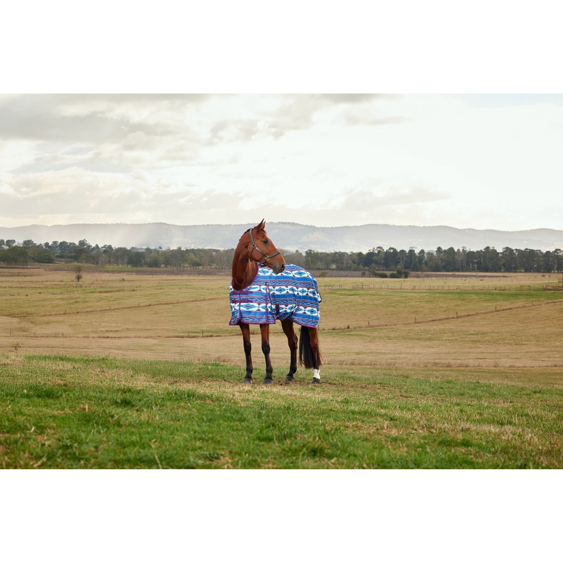 Weatherbeeta ComFiTec Essential Fly Sheet
