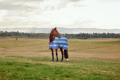 Weatherbeeta ComFiTec Essential Fly Sheet