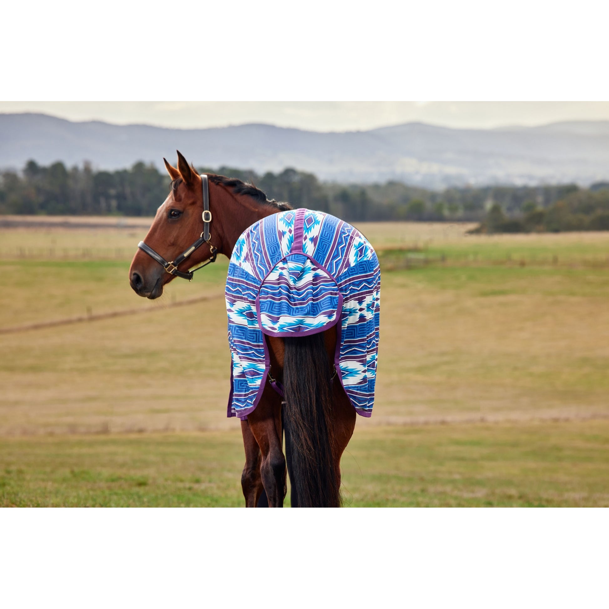 Weatherbeeta ComFiTec Essential Fly Sheet