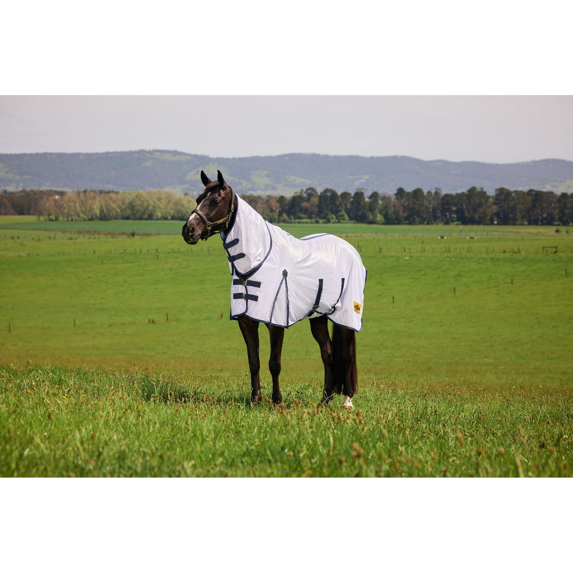 Saxon Mesh Combo Neck Fly Sheet