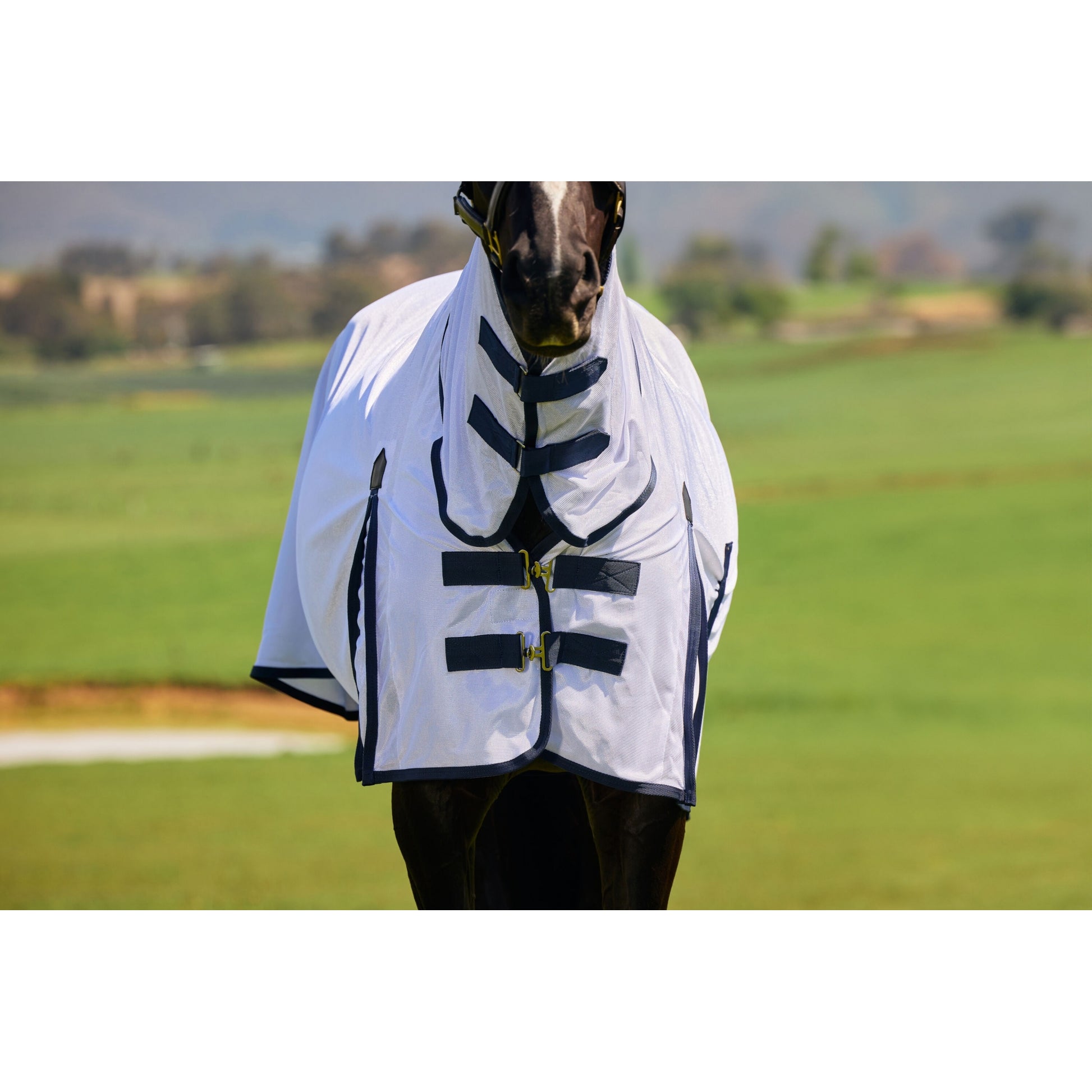 Saxon Mesh Combo Neck Fly Sheet