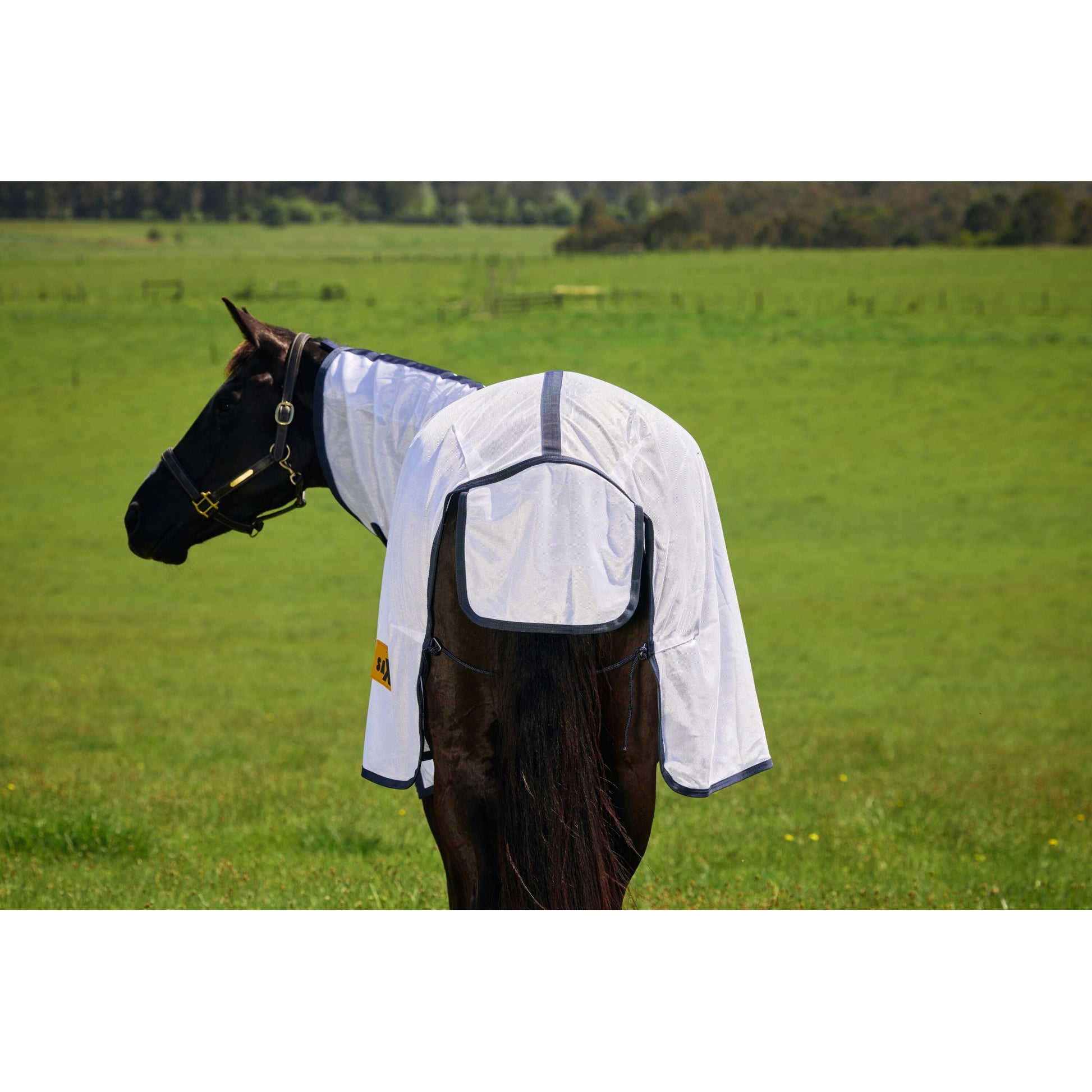 Saxon Mesh Combo Neck Fly Sheet
