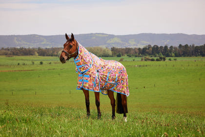 Saxon Mesh Combo Neck Fly Sheet