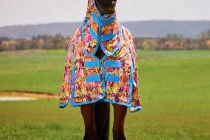 Saxon Mesh Combo Neck Fly Sheet