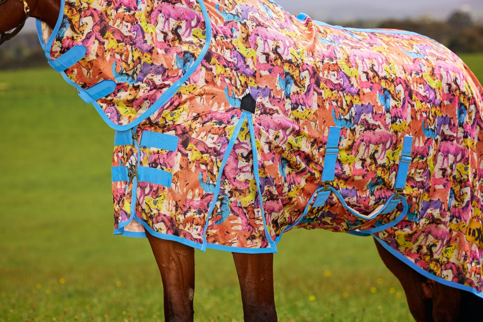 Saxon Mesh Combo Neck Fly Sheet
