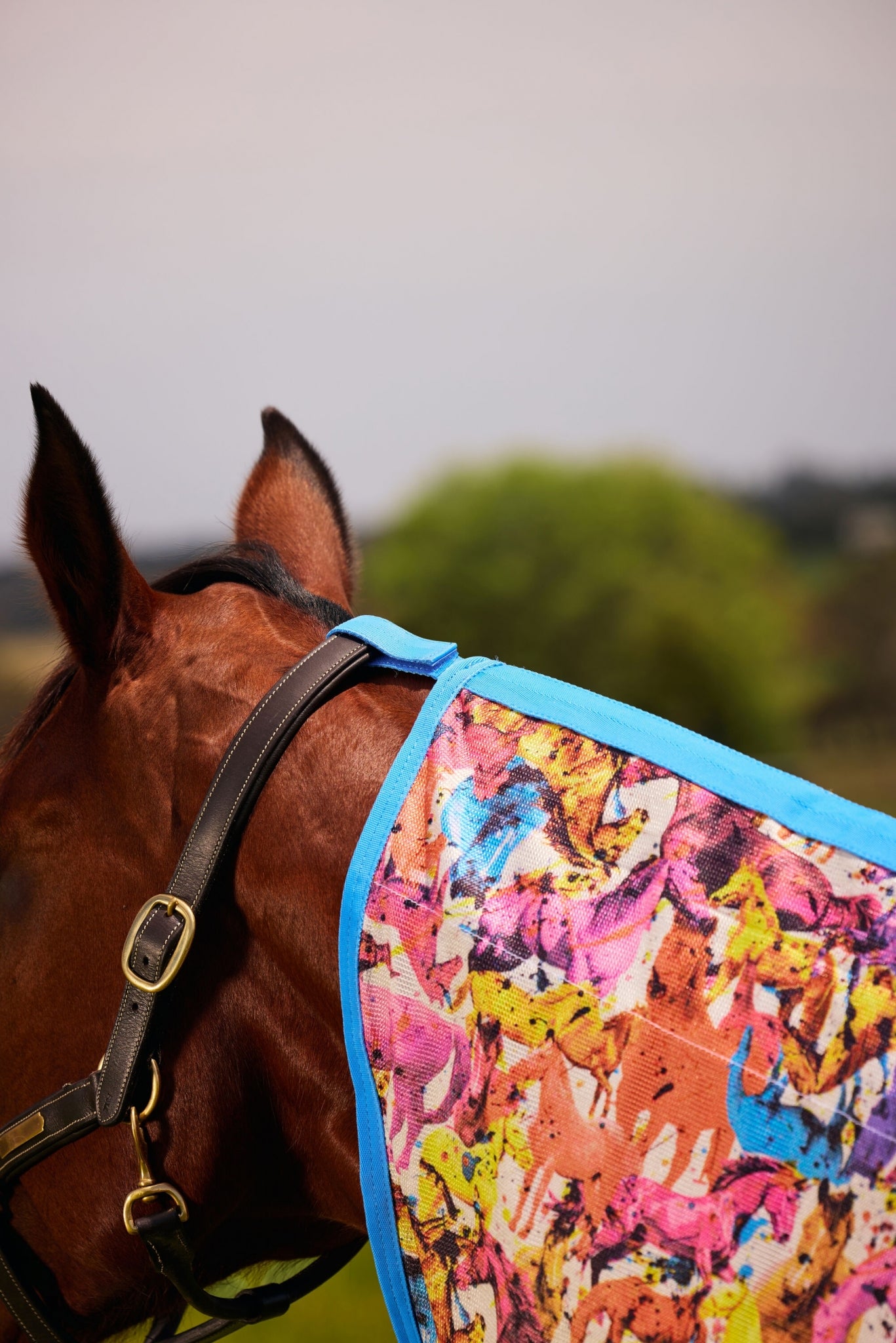 Saxon Mesh Combo Neck Fly Sheet