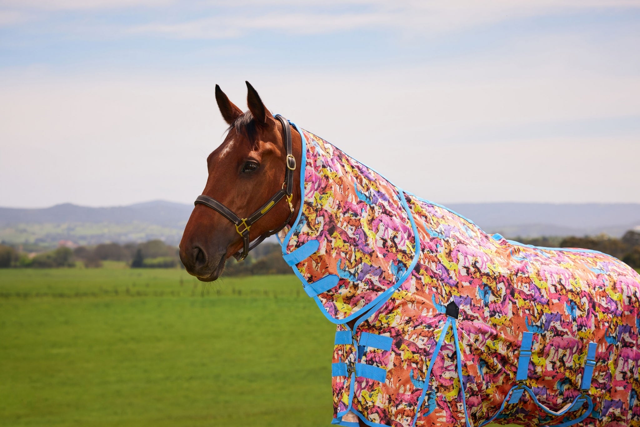 Saxon Mesh Combo Neck Fly Sheet