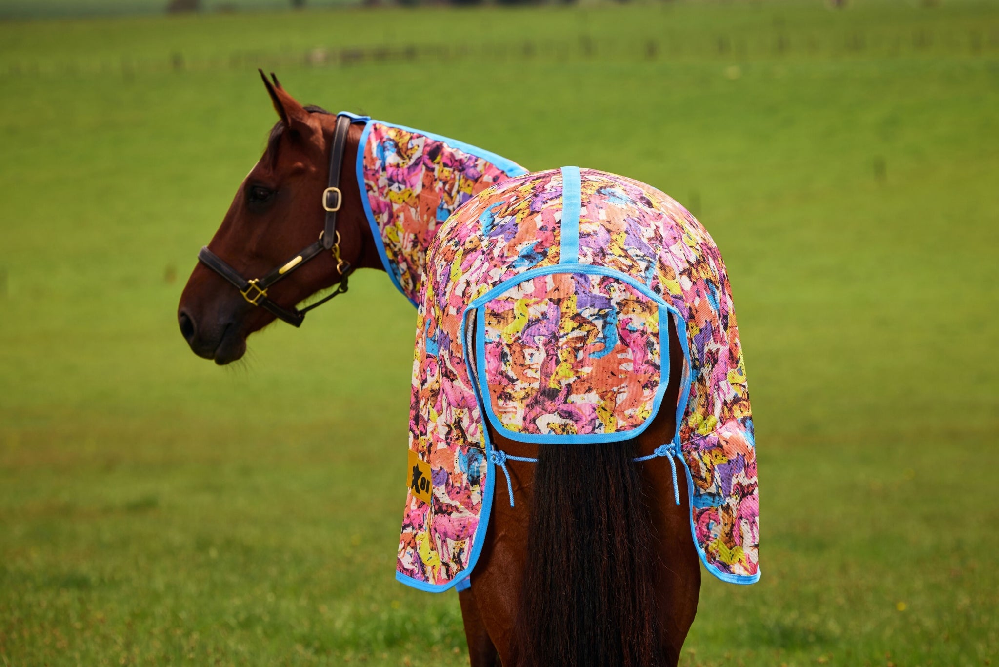 Saxon Mesh Combo Neck Fly Sheet