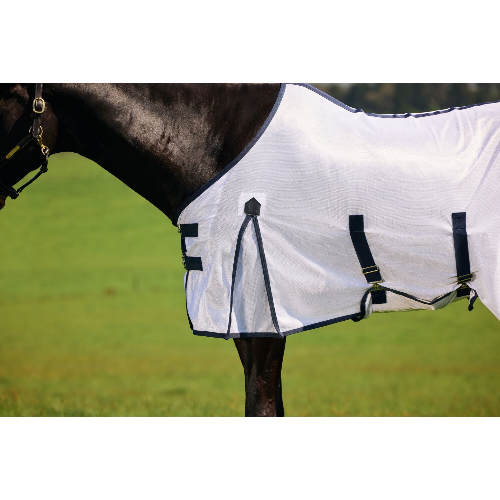 Saxon Mesh Fly Sheet Standard Neck