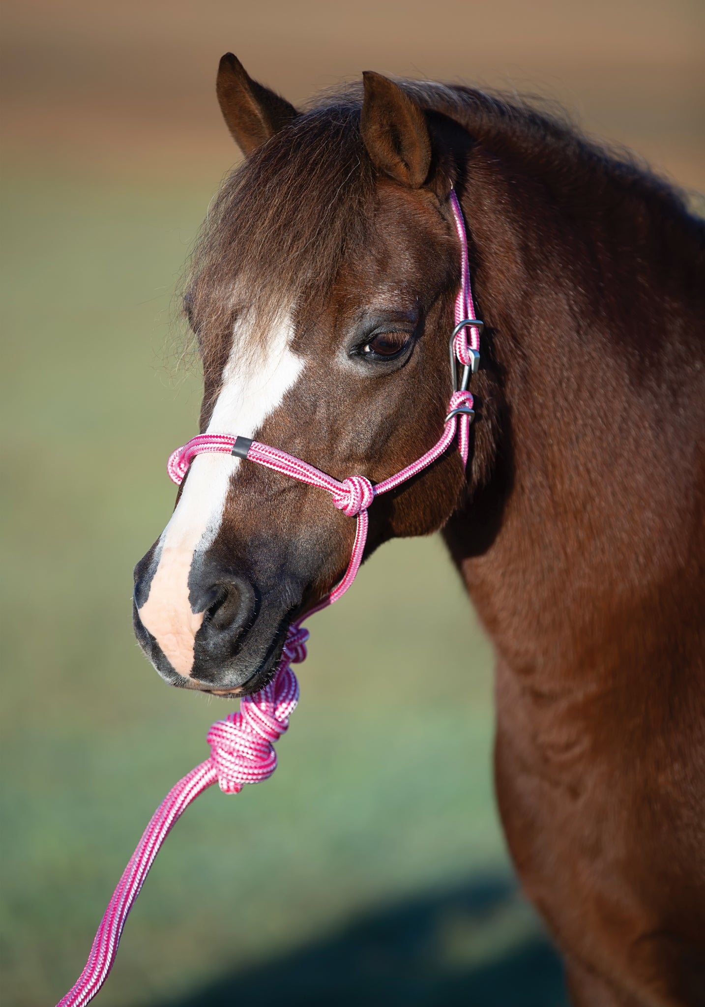 Professionals Choice Easy On Rope Halter