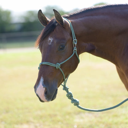 Professionals Choice Easy On Rope Halter with Lead