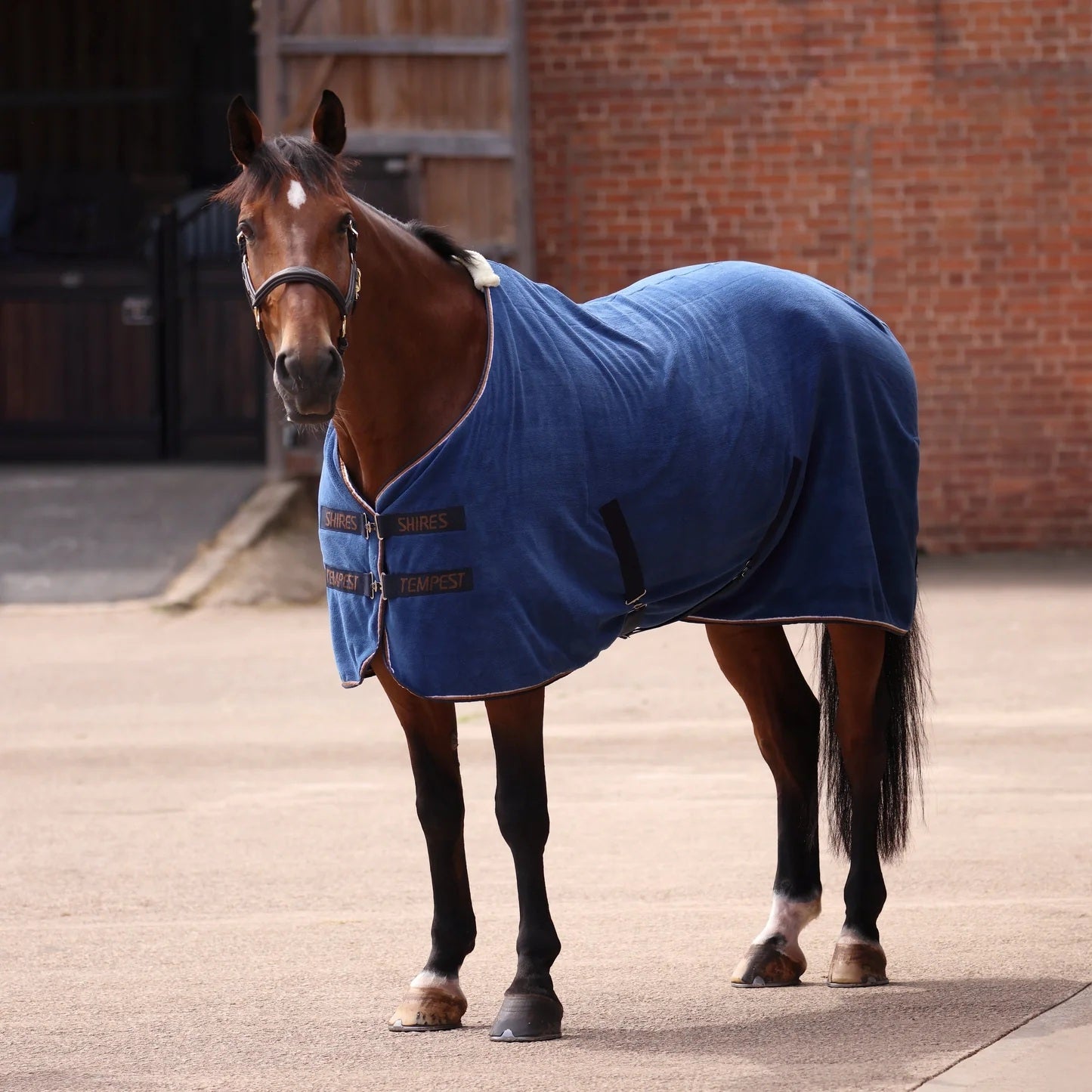 Shires Tempest Original Ultra Drying Blanket