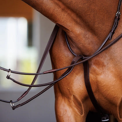 Shires Velociti Fancy Square Raised Running Martingale