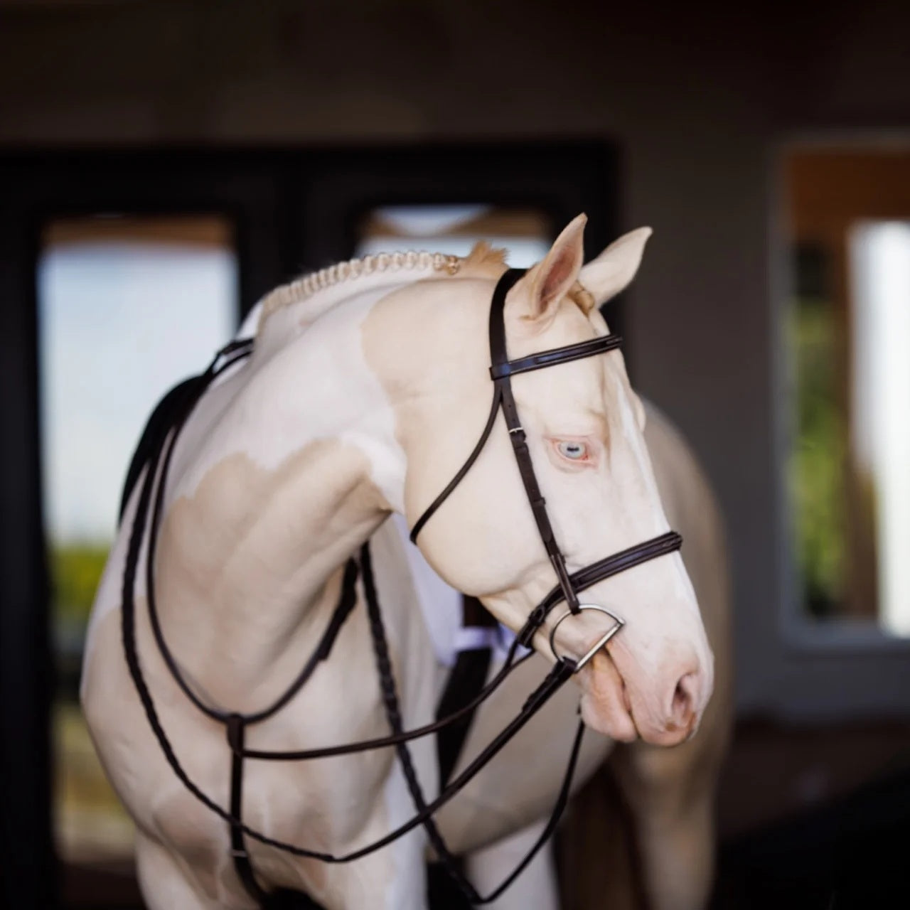 Shires Fancy Square Raised Laced Reins