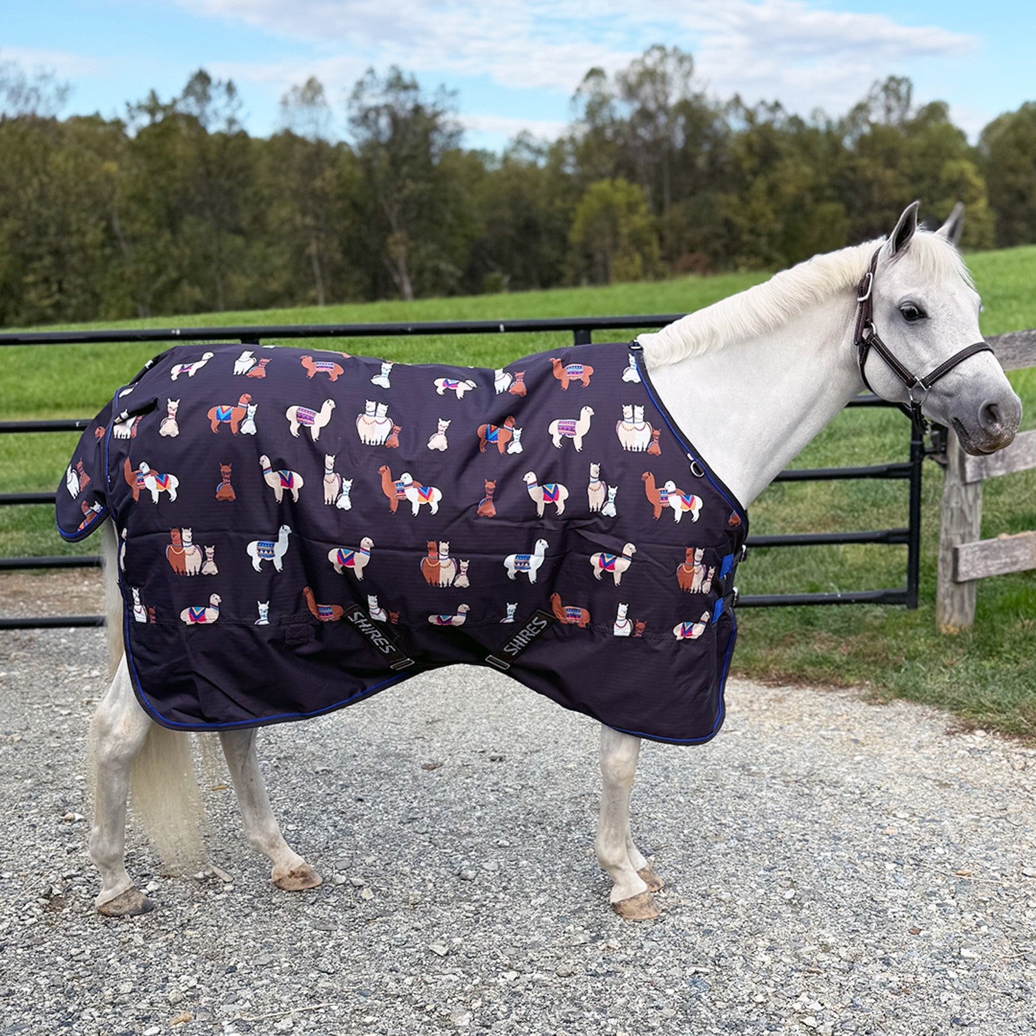 Shires Mini Highlander Blanket 200g