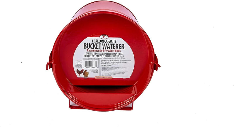 Little Giant Bucket Waterer for Poultry