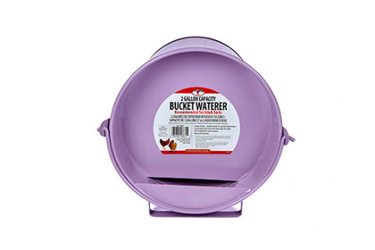 Little Giant Bucket Waterer for Poultry