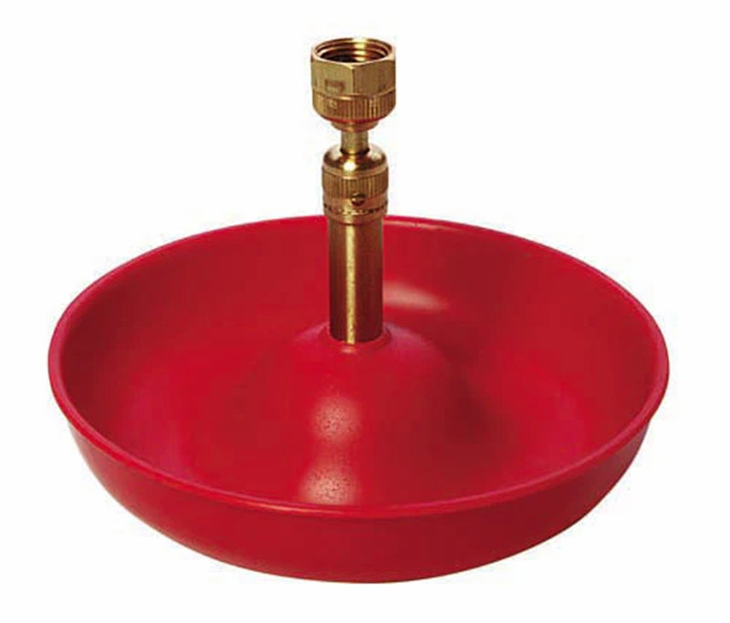 Little Giant Baby Chick Automatic Poultry Fount