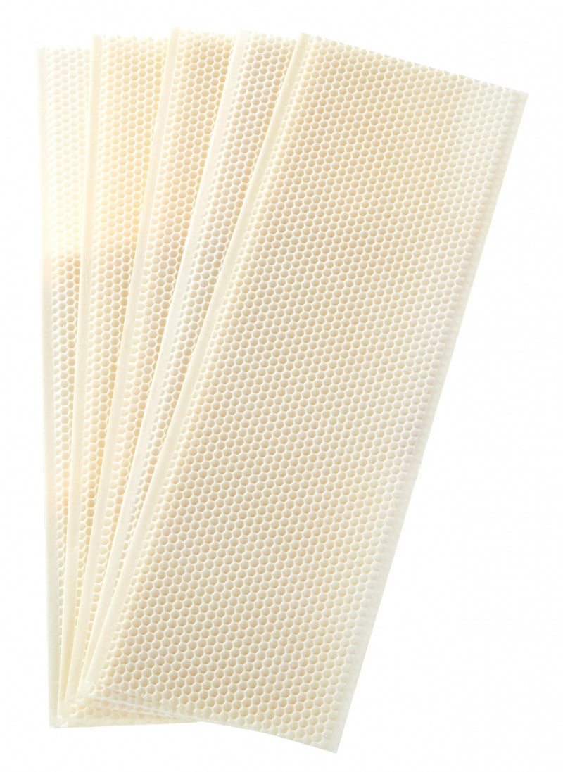 Little Giant Medium Wax Coated Plastic Foundation