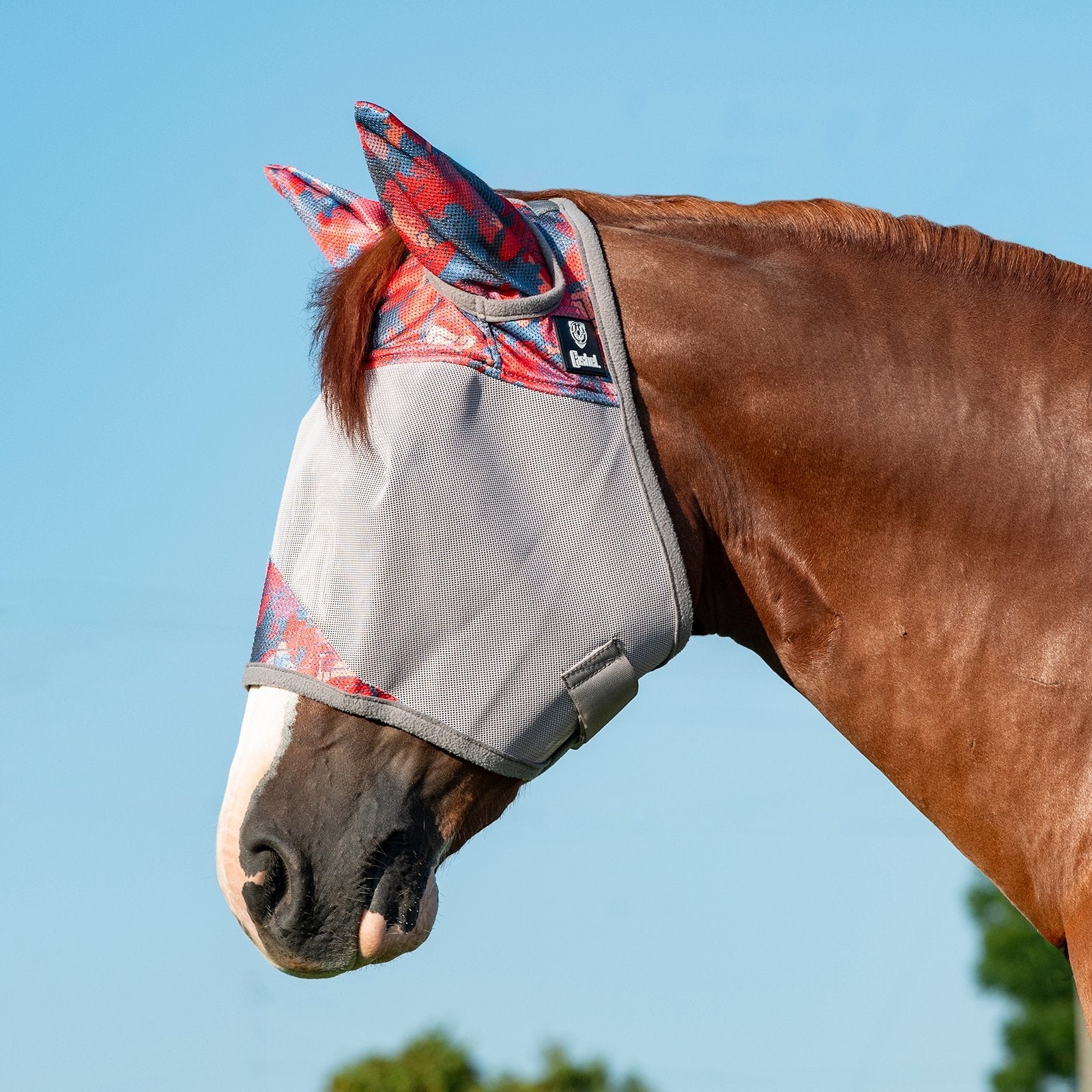 Cashel Crusader Fly Mask- Standard