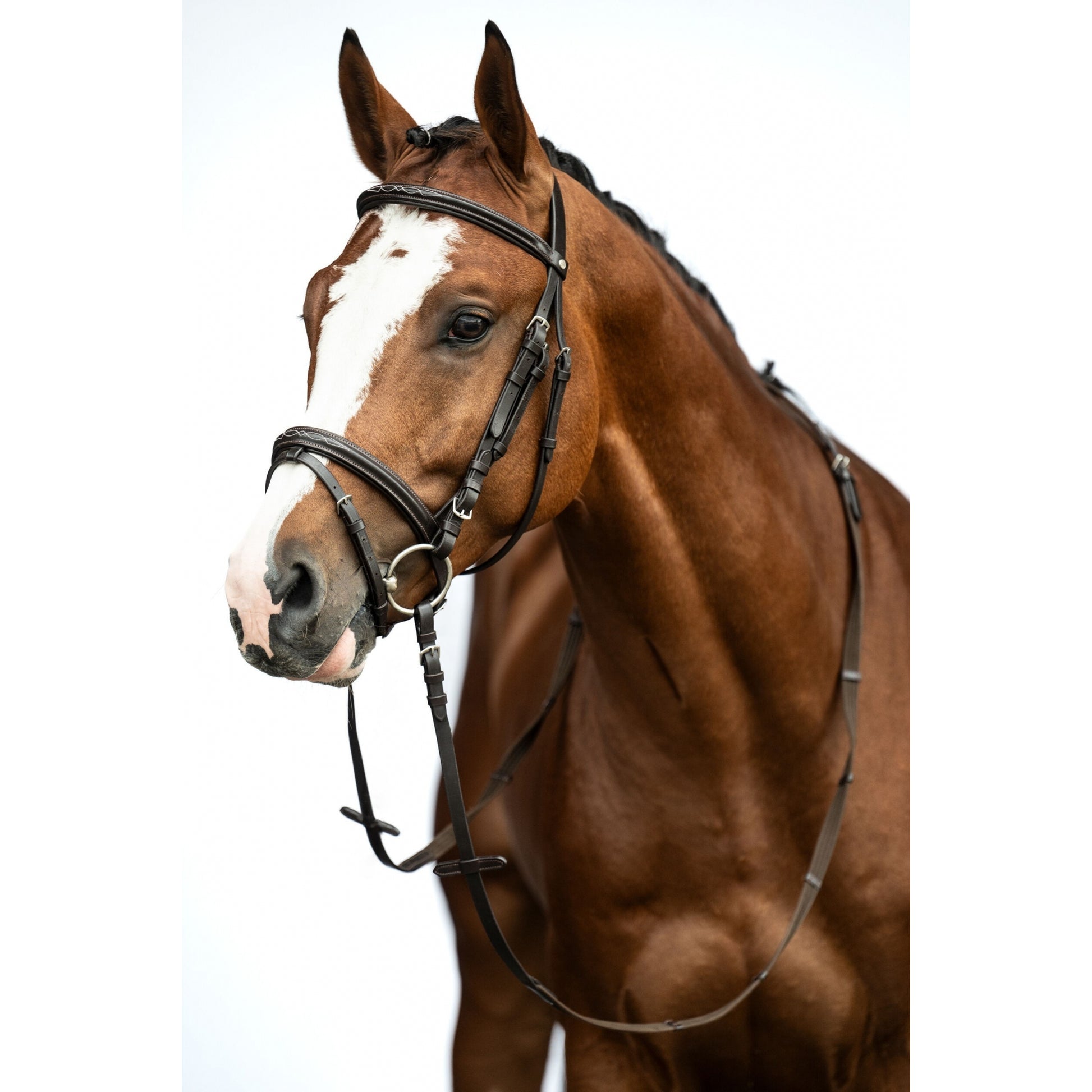 HKM Jana Bridle