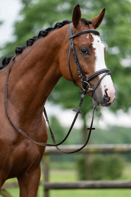HKM Jana Bridle