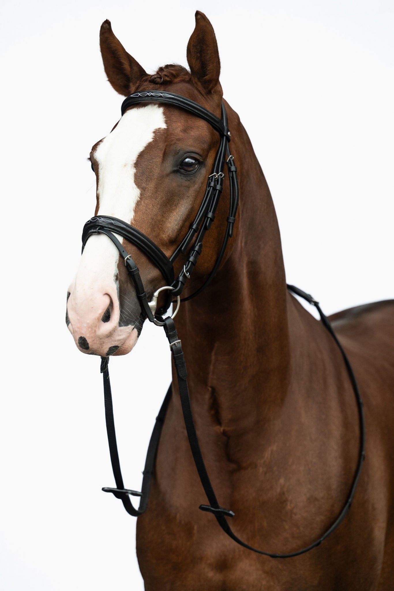 HKM Jana Bridle