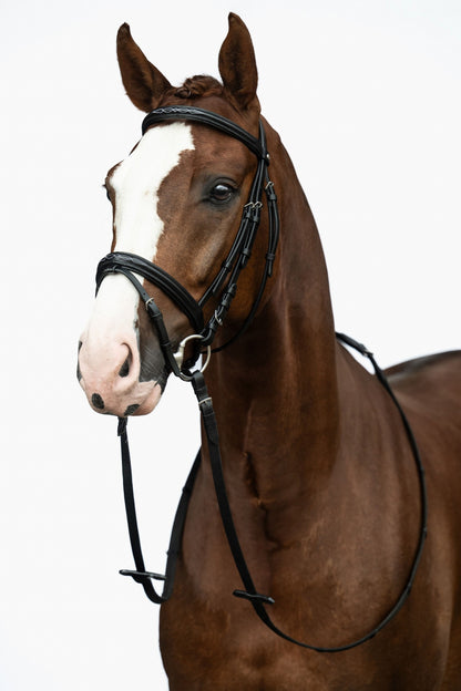 HKM Jana Bridle