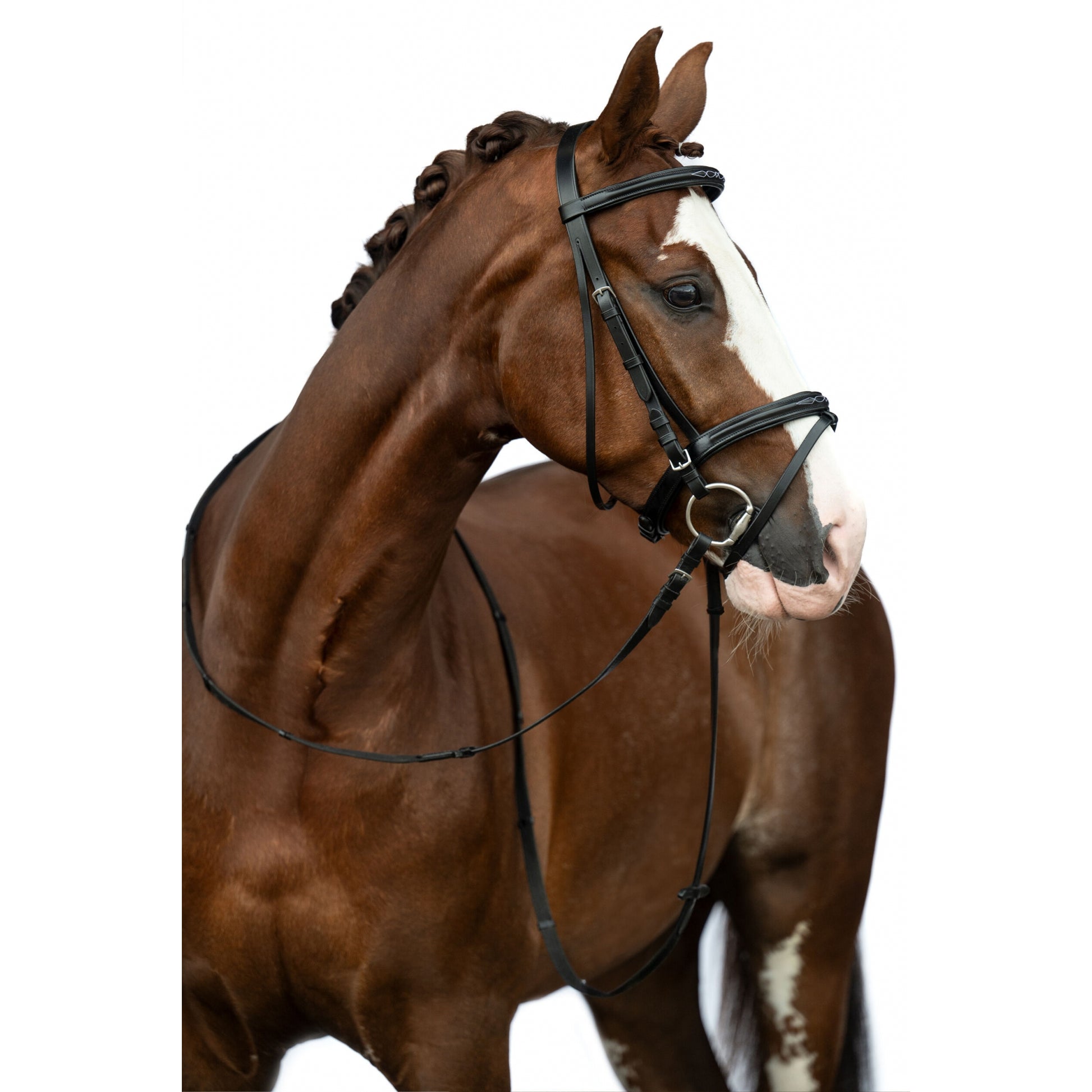 HKM Jana Bridle