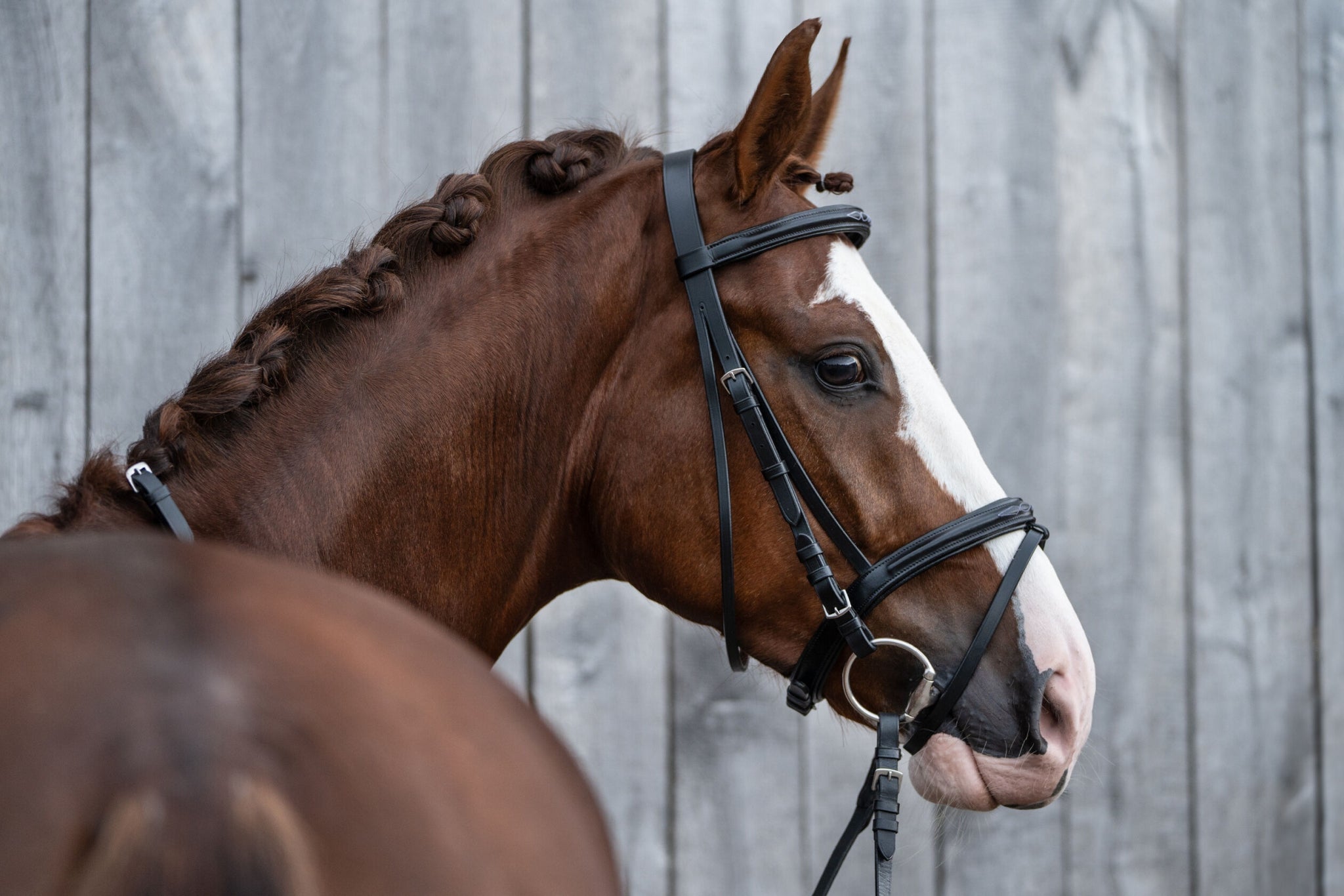 HKM Jana Bridle