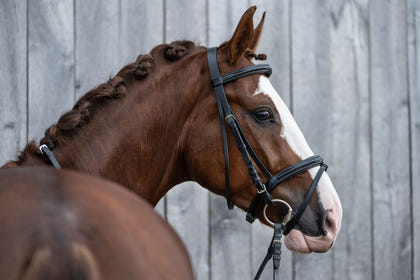 HKM Jana Bridle