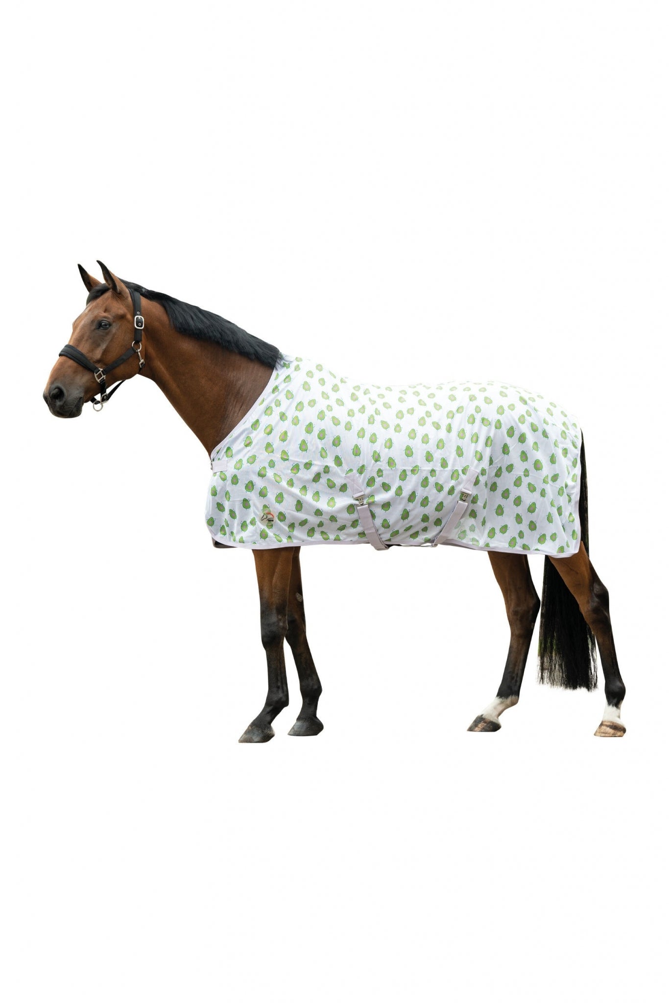 HKM Naples Fly Rug