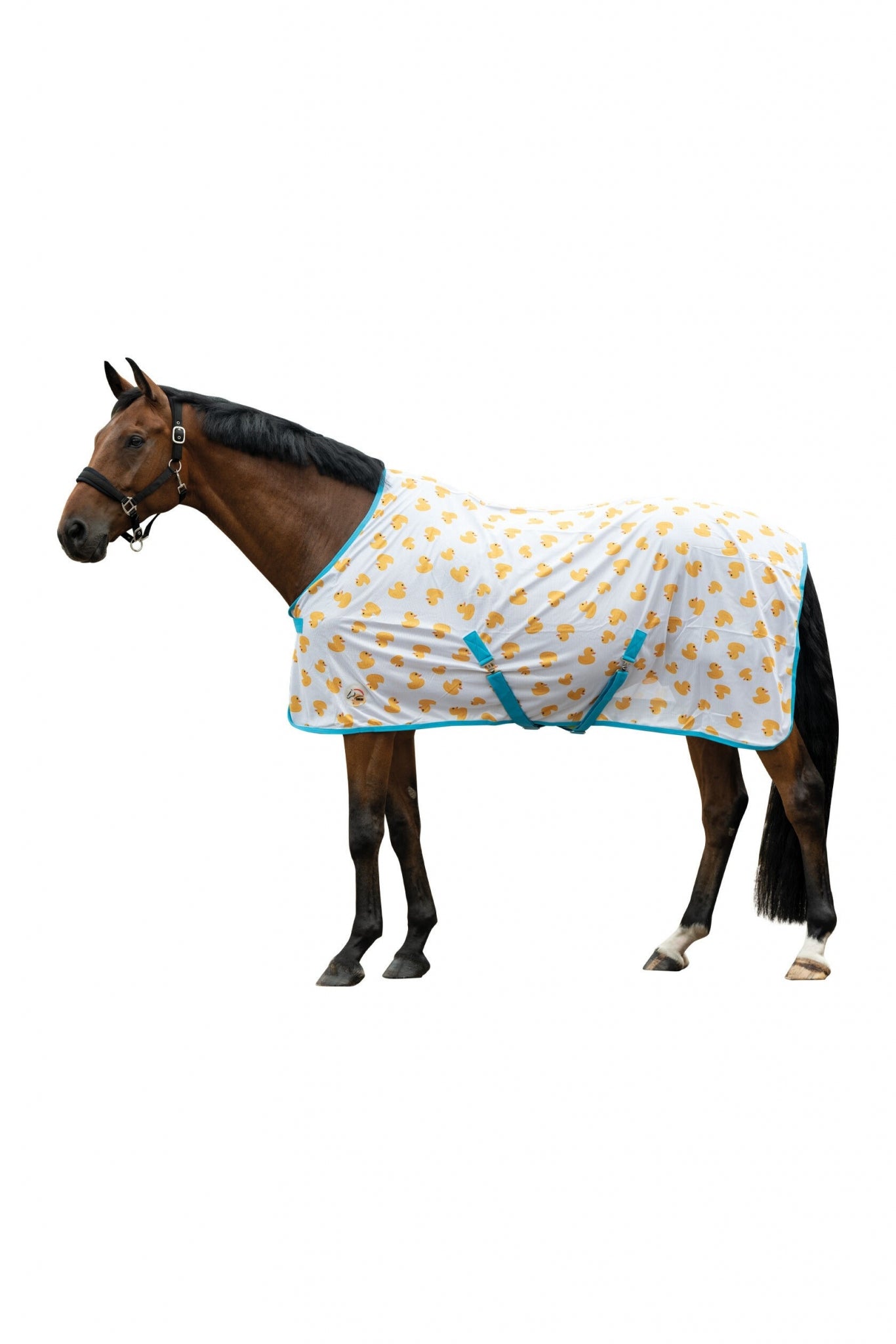 HKM Naples Fly Rug