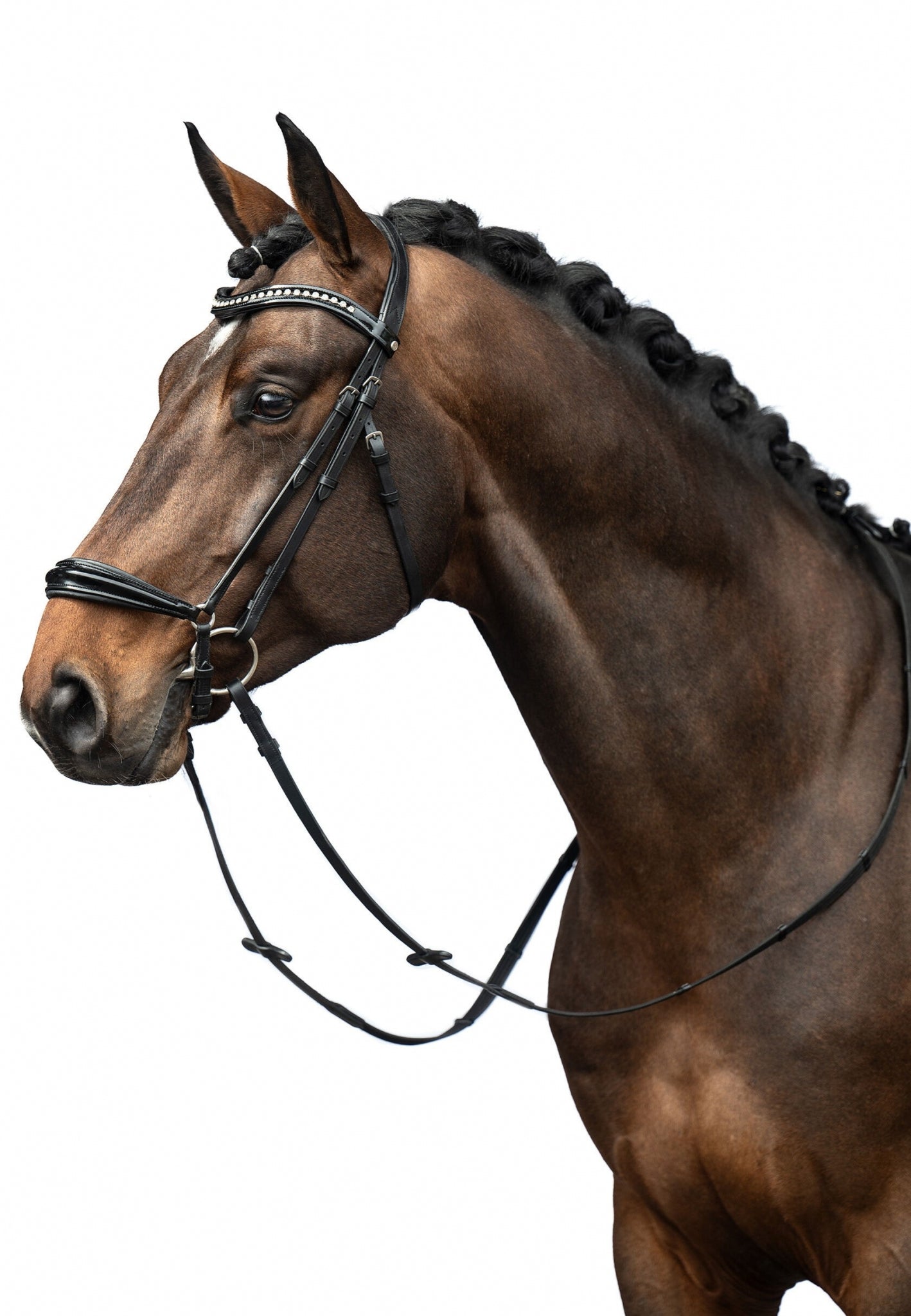 HKM Carolin Bridle