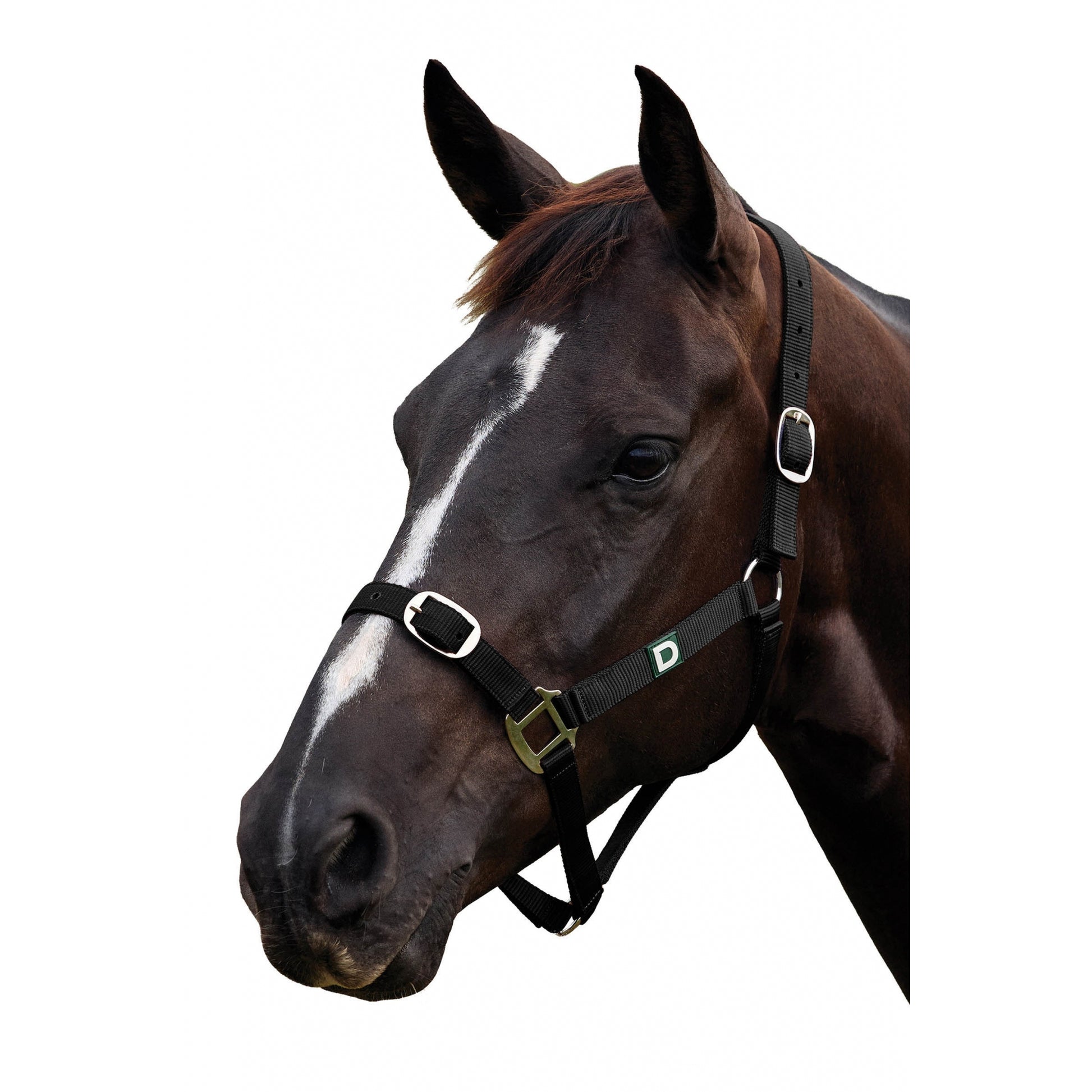 Dublin Everyday Breakaway Halter