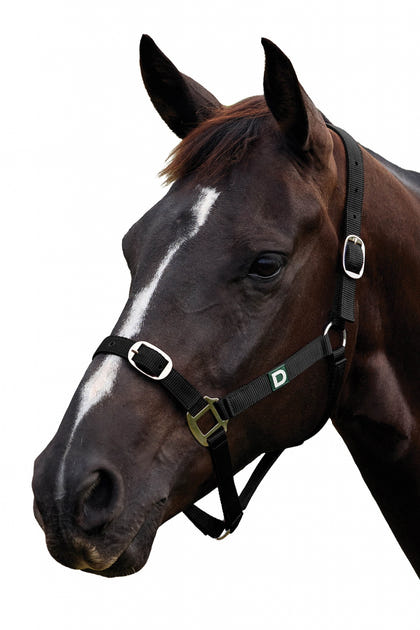Dublin Everyday Breakaway Halter