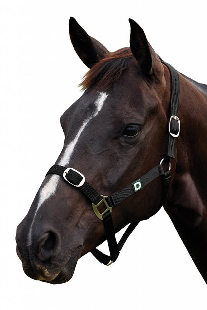 Dublin Everyday Breakaway Halter