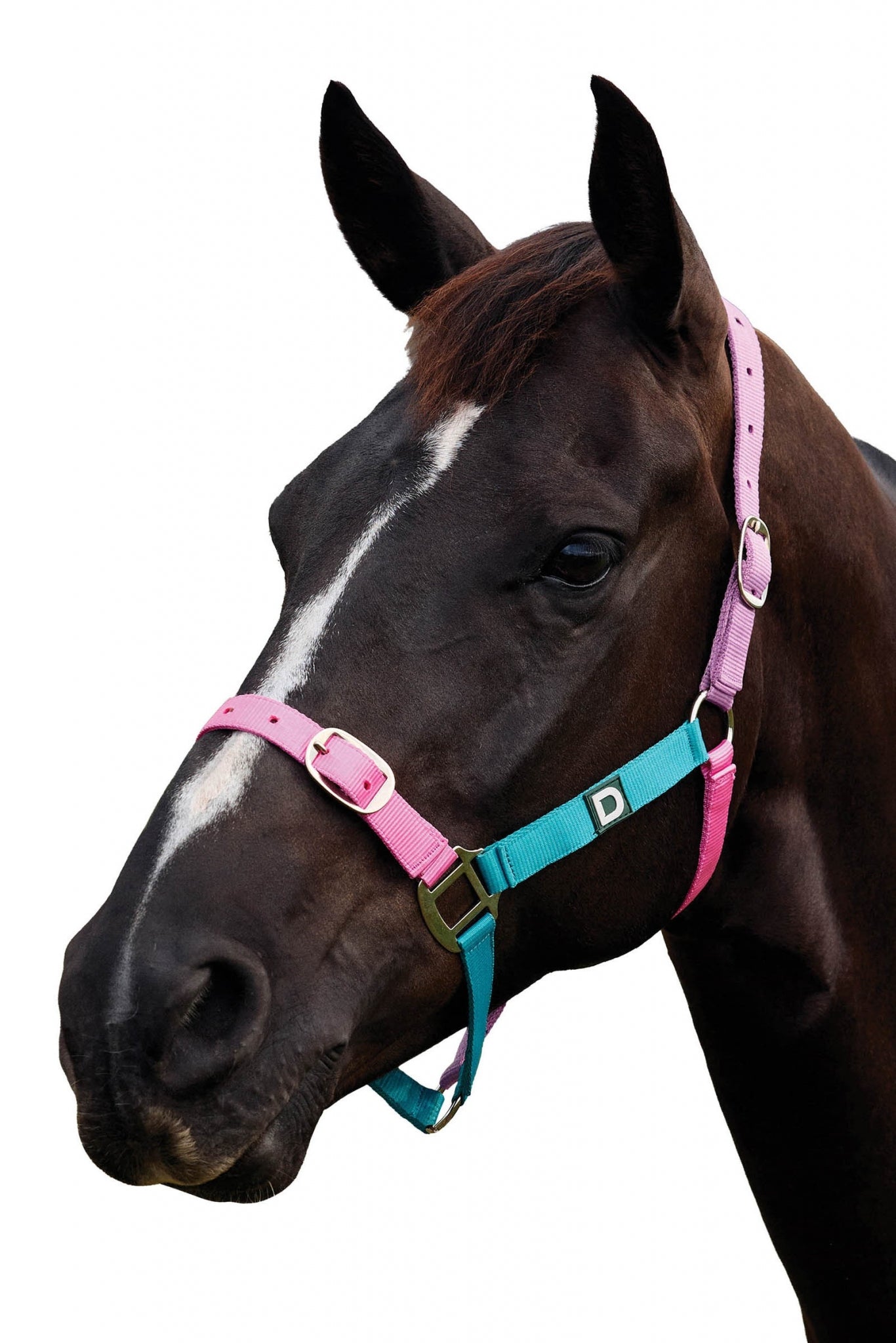Dublin Everyday Breakaway Halter