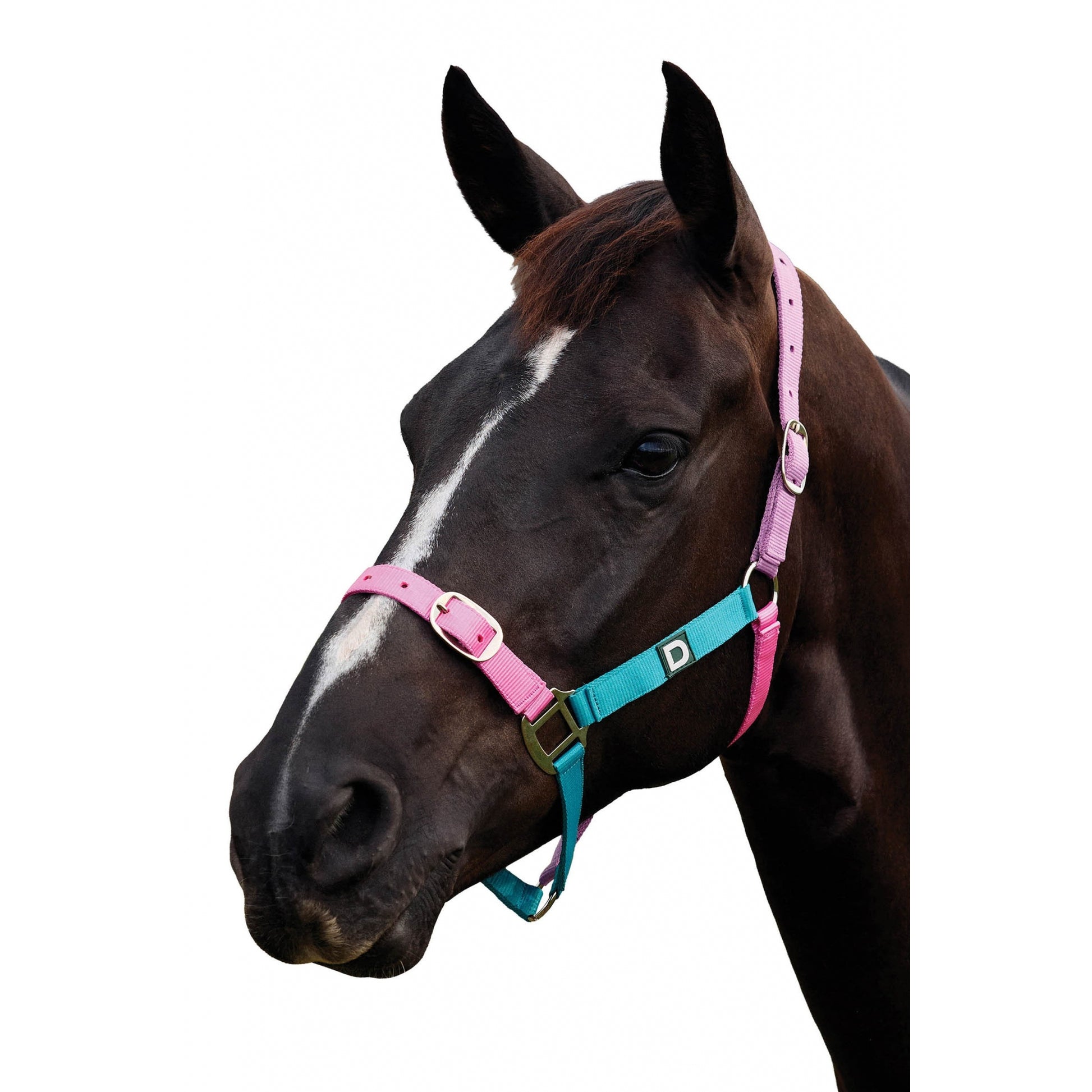 Dublin Everyday Breakaway Halter