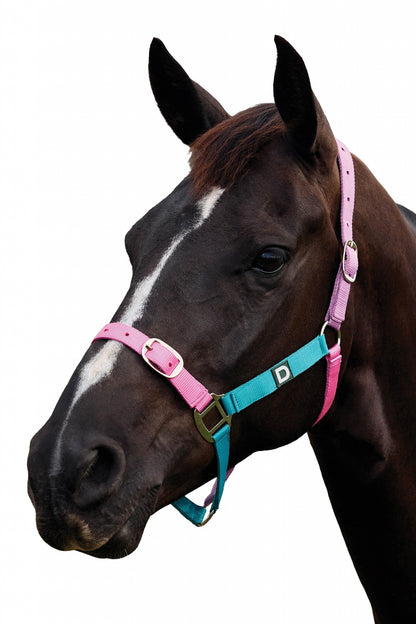Dublin Everyday Breakaway Halter