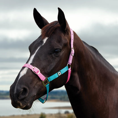Dublin Everyday Breakaway Halter