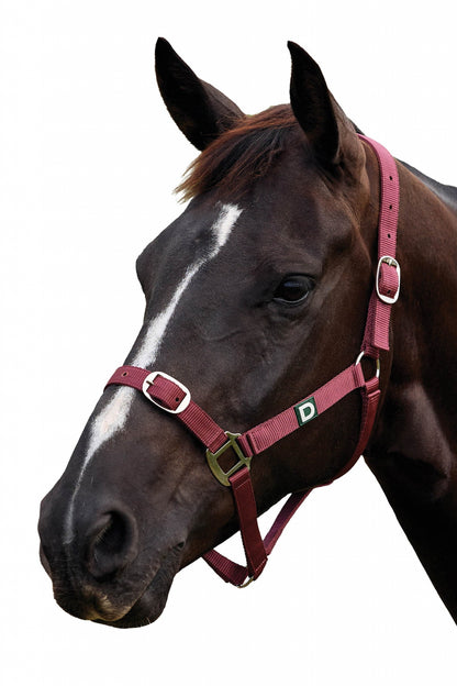 Dublin Everyday Breakaway Halter