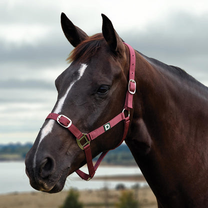 Dublin Everyday Breakaway Halter