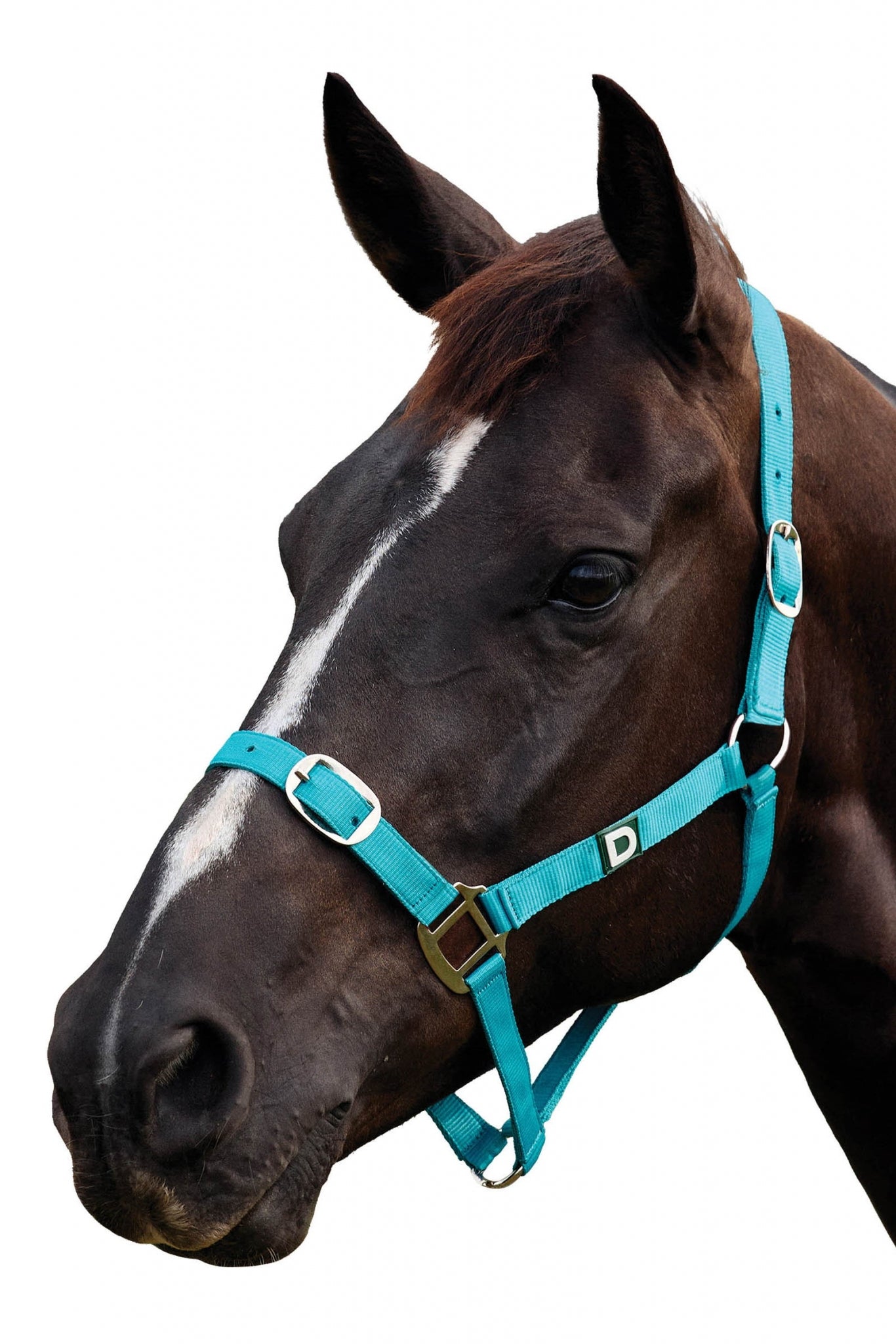 Dublin Everyday Breakaway Halter