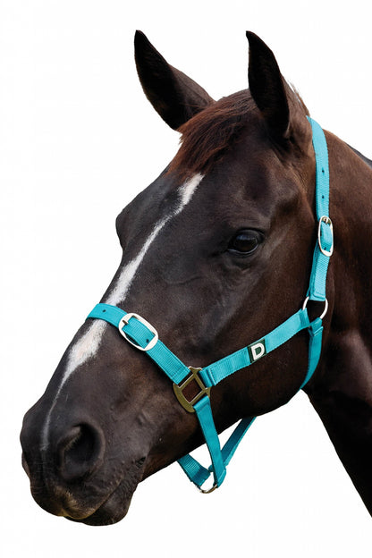 Dublin Everyday Breakaway Halter