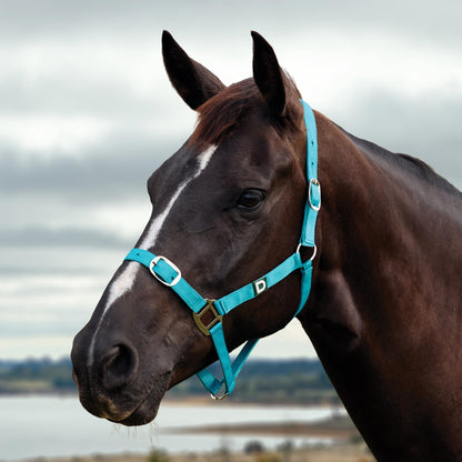 Dublin Everyday Breakaway Halter
