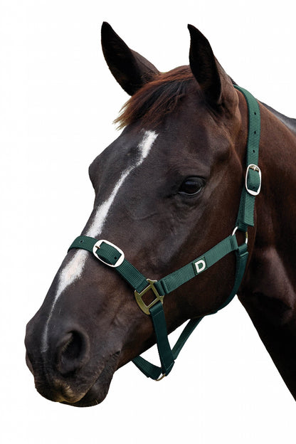 Dublin Everyday Breakaway Halter