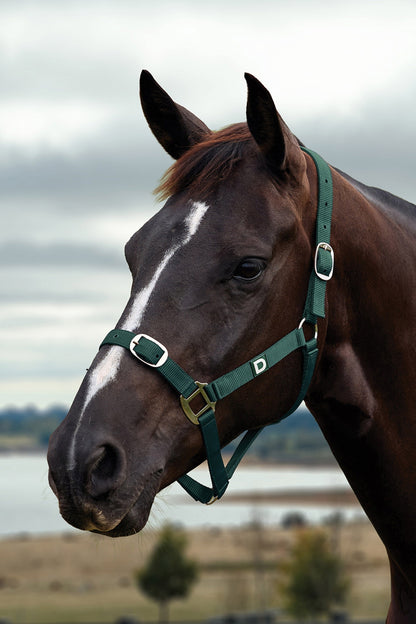 Dublin Everyday Breakaway Halter