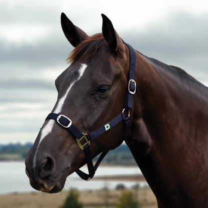 Dublin Everyday Breakaway Halter