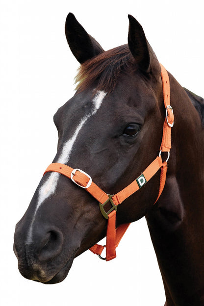 Dublin Everyday Breakaway Halter